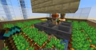An automated carrot farm with carrots (Image via u/McRage27 on Reddit)